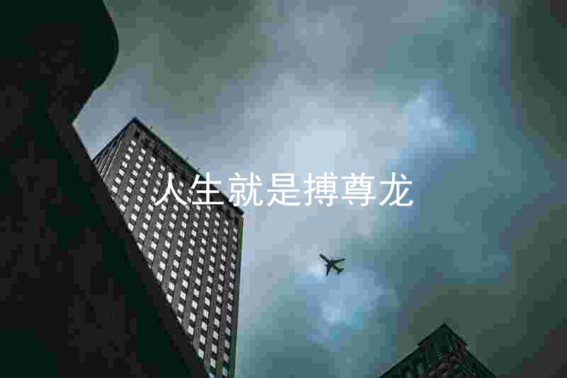 人生就是搏尊龙