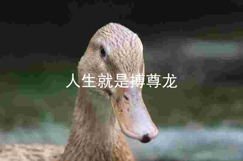 人生就是搏尊龙